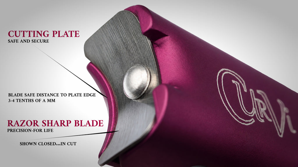 CurVi-Plumb Purple